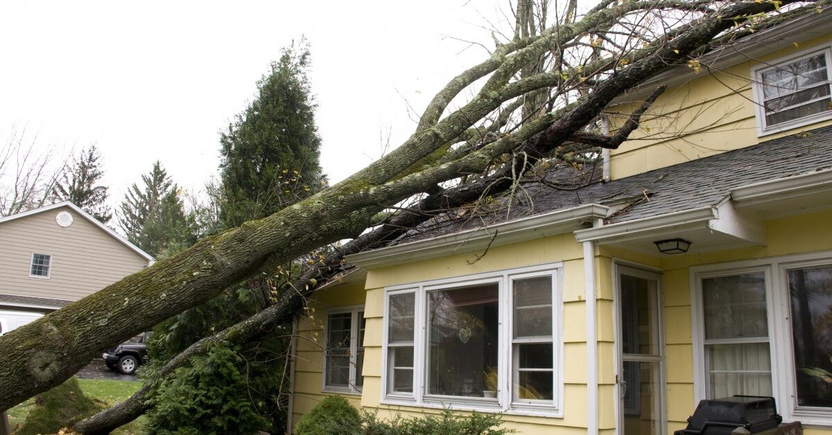 Ways-Wind-Can-Damage-Your-Roof-1-5e1e8a0c1bd4c